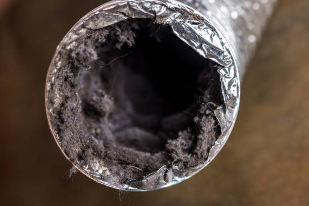 Best Affordable Duct Cleaning Services  in Zebulon, NC