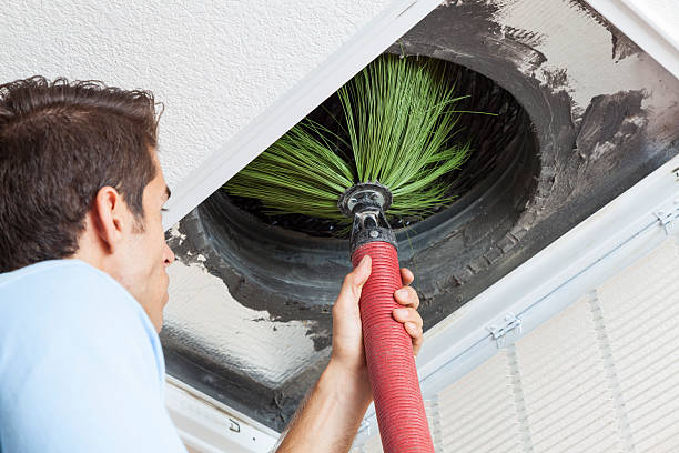 Best Air Duct Cleaning Near Me  in Zebulon, NC
